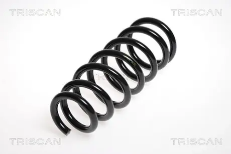Пружина ходовой части TRISCAN 875013113