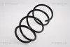 Пружина ходовой части TRISCAN 875013115 (фото 1)
