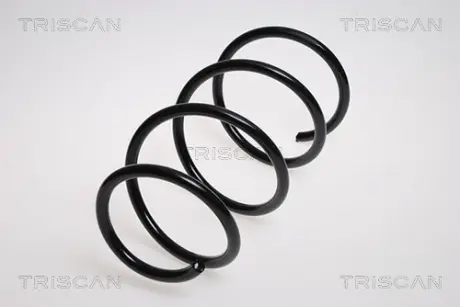 Пружина ходовой части TRISCAN 875013115