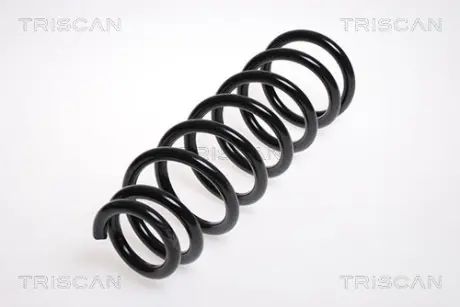 Пружина ходовой части TRISCAN 875013124