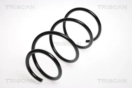 Пружина ходовой части TRISCAN 875013125