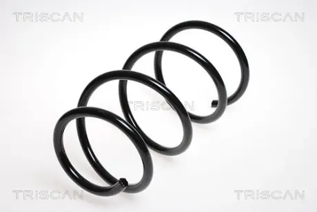 Пружина ходовой части TRISCAN 875013126