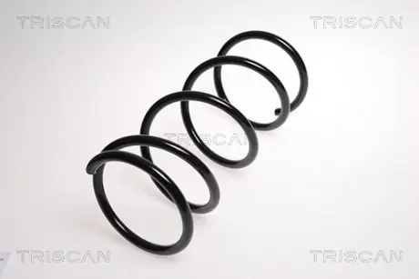 Пружина ходовой части TRISCAN 875013134