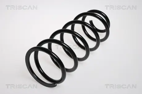 Пружина ходовой части TRISCAN 875013137