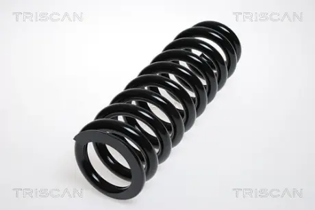 Пружина ходовой части TRISCAN 875013138