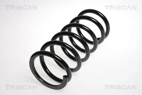 Пружина ходовой части TRISCAN 875013142