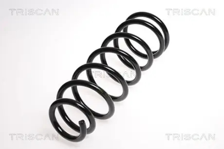 Пружина ходовой части TRISCAN 875013144