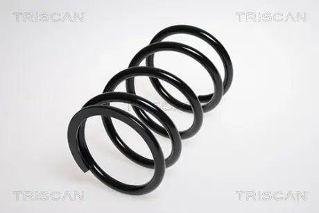 Пружина ходовой части TRISCAN 875013146