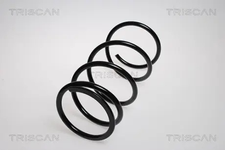 Пружина ходовой части TRISCAN 875013151