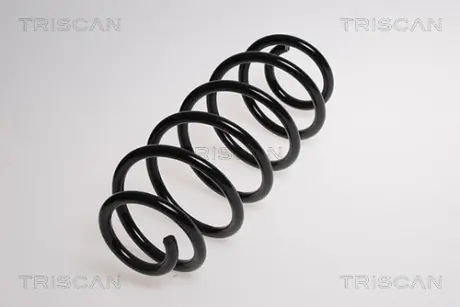 Пружина ходовой части TRISCAN 875013152