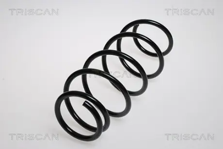 Пружина ходовой части TRISCAN 875013153
