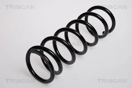 Пружина ходовой части TRISCAN 875013158