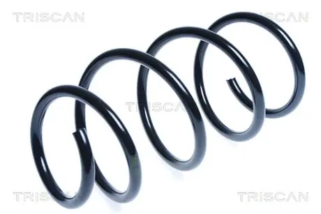 Пружина ходовой части TRISCAN 875013162