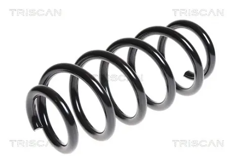 Пружина ходовой части TRISCAN 875013166