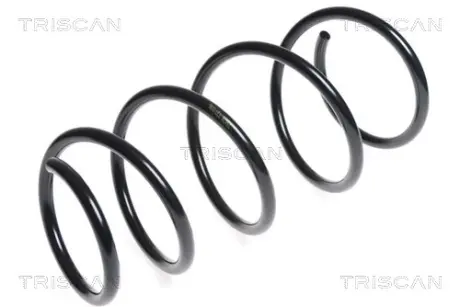 Пружина ходовой части TRISCAN 875013168