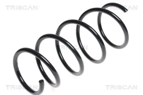 Пружина ходовой части TRISCAN 875013171