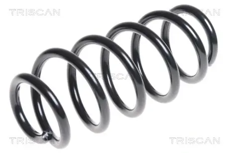 Пружина ходовой части TRISCAN 875013172