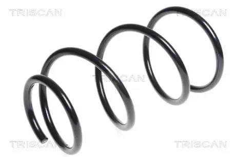 Пружина ходовой части TRISCAN 875013174
