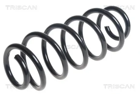 Пружина ходовой части TRISCAN 875013197