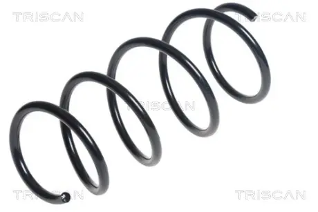 Пружина ходовой части TRISCAN 875013198