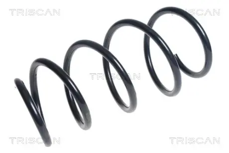 Пружина ходовой части TRISCAN 875013199