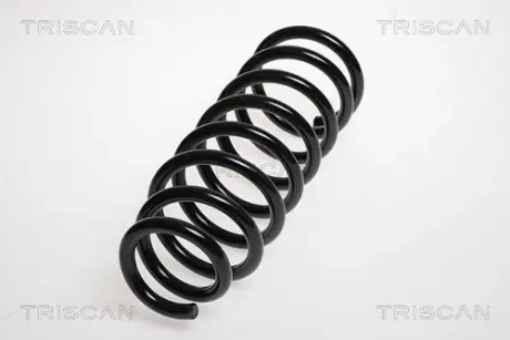 Пружина ходовой части TRISCAN 875013205