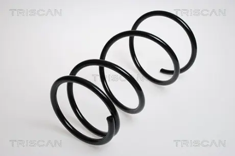 Пружина ходовой части TRISCAN 87501374