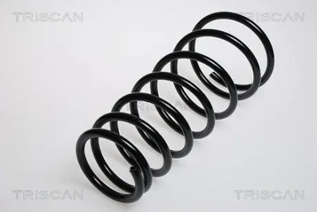 Пружина ходовой части TRISCAN 87501383