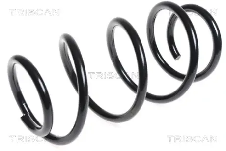 Пружина ходовой части TRISCAN 875014101