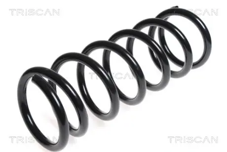 Пружина ходовой части TRISCAN 875014103