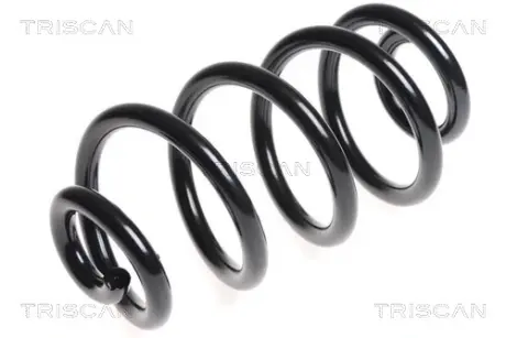Пружина ходовой части TRISCAN 875014104