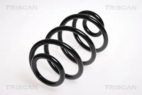 Пружина ходовой части TRISCAN 87501457