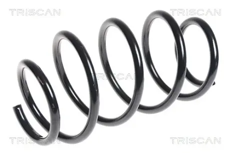 Пружина ходовой части TRISCAN 87501488