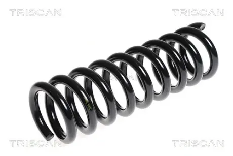 Пружина ходовой части TRISCAN 87501490
