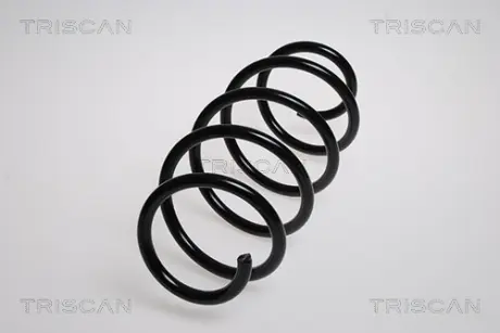 Пружина ходовой части TRISCAN 875015101