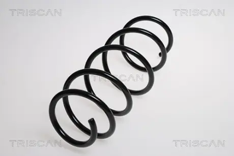 Пружина ходовой части TRISCAN 875015105