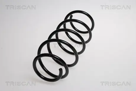 Пружина ходовой части TRISCAN 875015120