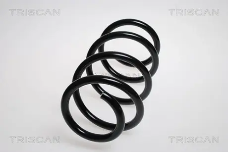 Пружина ходовой части TRISCAN 875015125