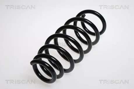 Пружина ходовой части TRISCAN 875015127