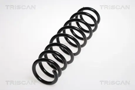 Пружина ходовой части TRISCAN 875015128