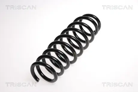 Пружина ходовой части TRISCAN 875015129