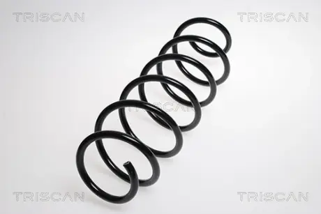 Пружина ходовой части TRISCAN 875015143
