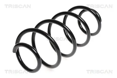 Пружина ходовой части TRISCAN 875015146