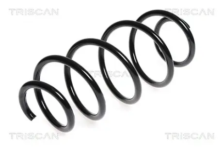 Пружина ходовой части TRISCAN 875015147
