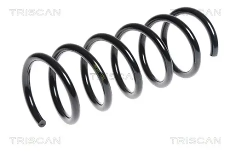 Пружина ходовой части TRISCAN 875015167