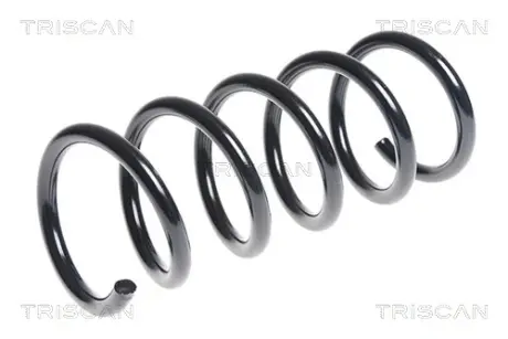 Пружина ходовой части TRISCAN 875015169