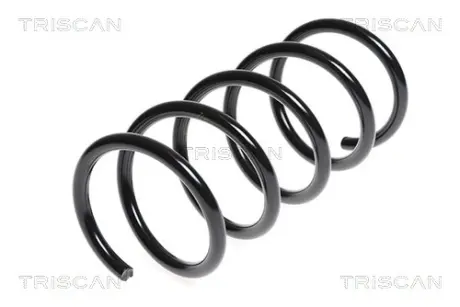 Пружина ходовой части TRISCAN 875015171