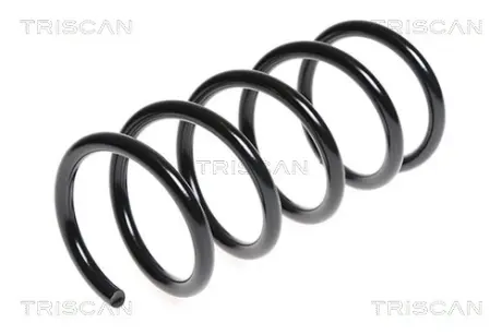 Пружина ходовой части TRISCAN 875015172
