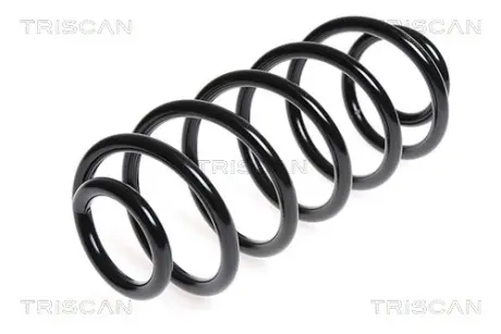 Пружина ходовой части TRISCAN 875015173