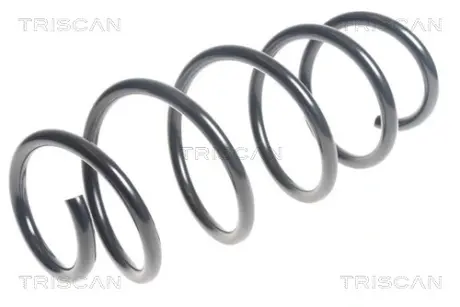 Пружина ходовой части TRISCAN 875015199